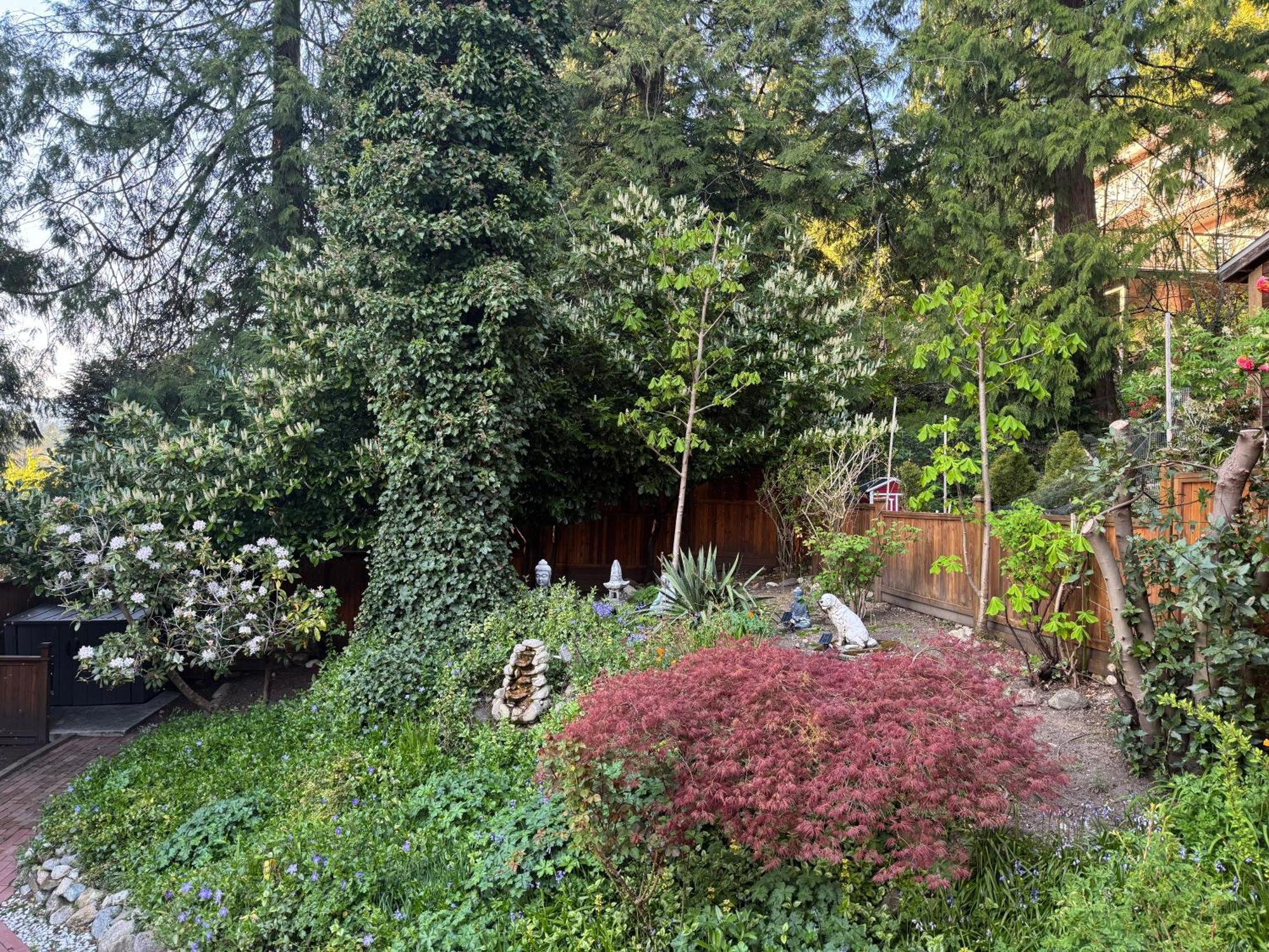 Beautiful Modern Suite North Vancouver Extérieur photo