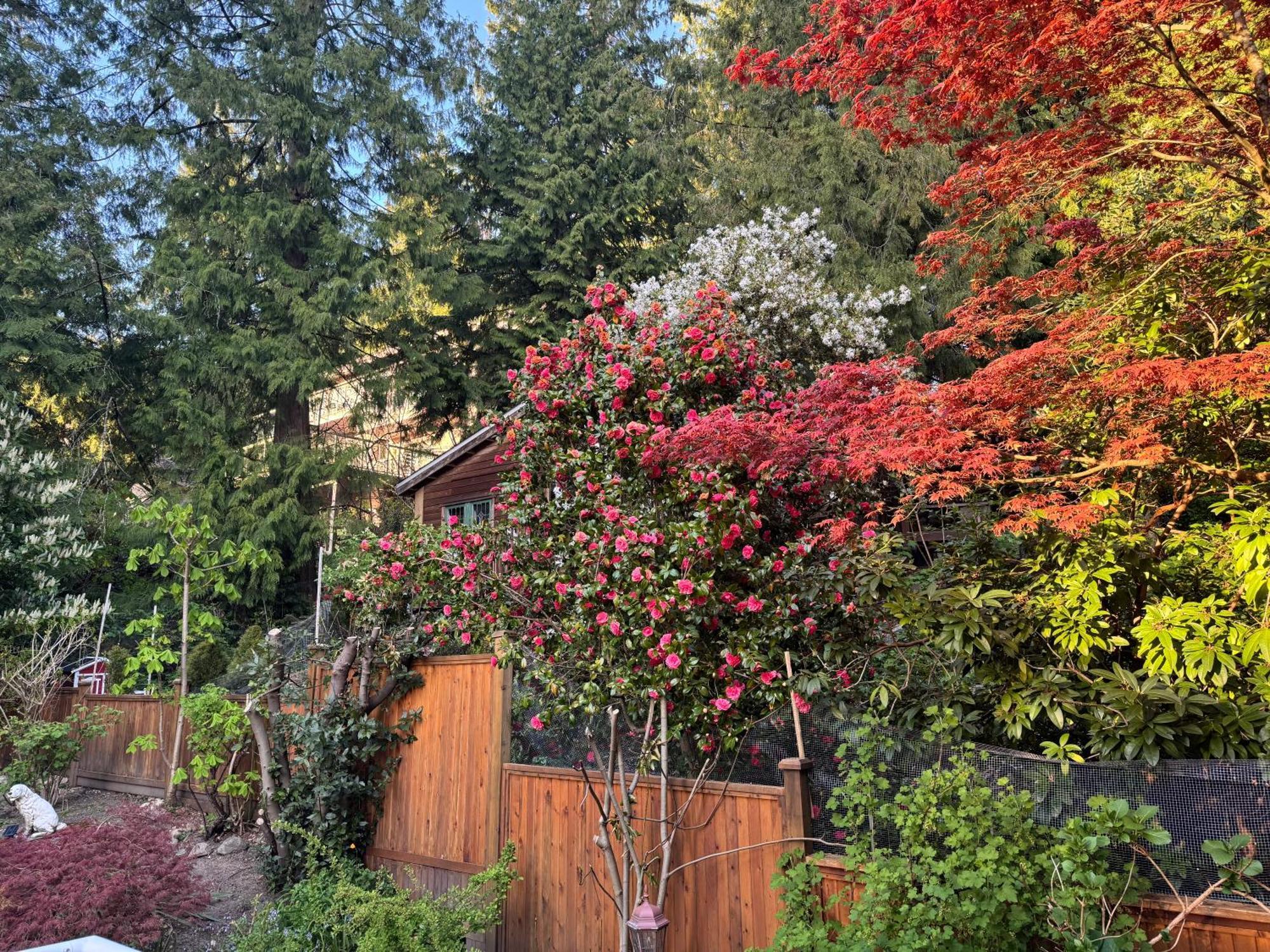 Beautiful Modern Suite North Vancouver Extérieur photo